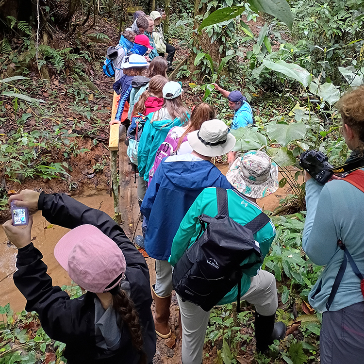 Ethnobotany Walk